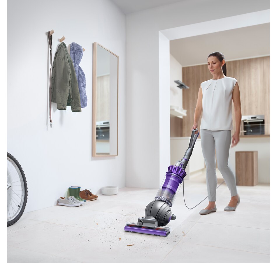 Refurbished Dyson UP20 Dyson Ball Animal 2 Upright Vacuum