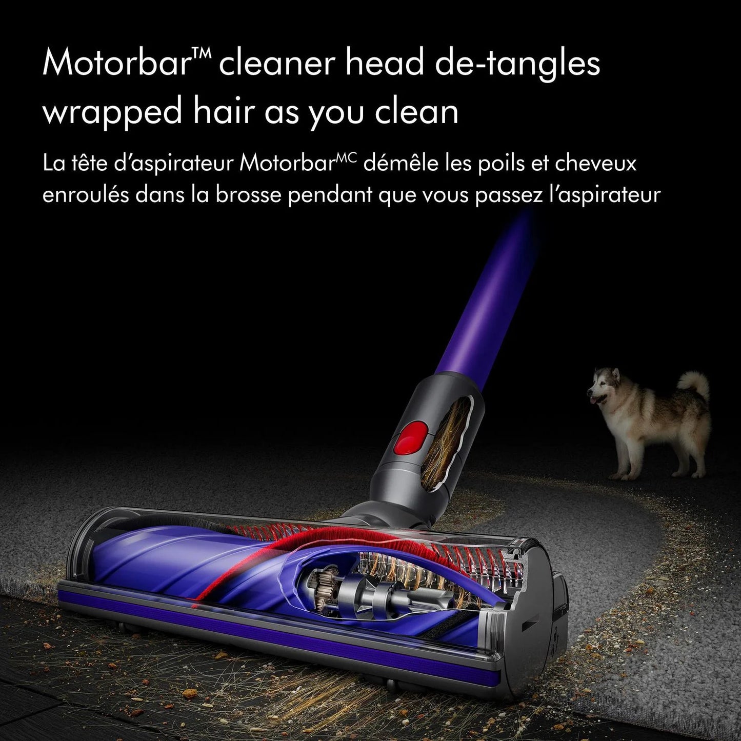 Dyson V8 Origin Plus Cordless Vacuum