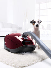 Load image into Gallery viewer, Miele Complete C3 Cat &amp; Dog Powerline Canister Vacuum
