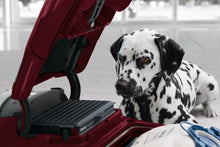 Load image into Gallery viewer, Miele Complete C3 Cat &amp; Dog Powerline Canister Vacuum
