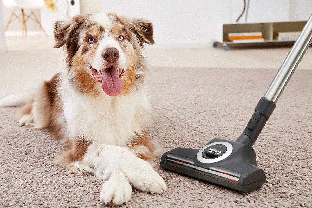 Miele STB 305-3 Turbo Teq Vacuum Cleaner Head - Mobile Vacuum